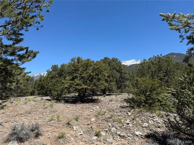 3231 Camino Del Rey Crestone, CO 81131