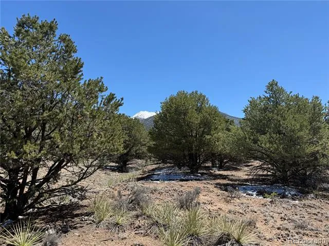 3231 Camino Del Rey Crestone, CO 81131