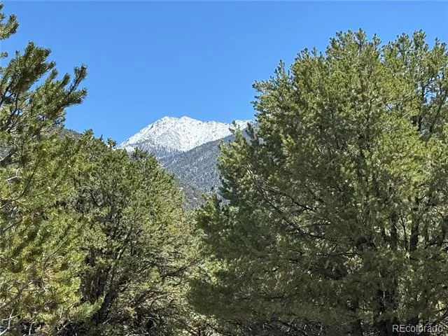 3231 Camino Del Rey Crestone, CO 81131