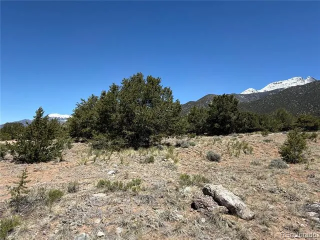 3231 Camino Del Rey Crestone, CO 81131
