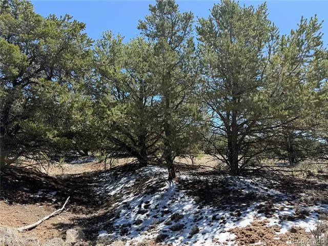 3231 Camino Del Rey Crestone, CO 81131