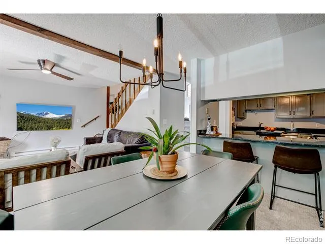 1050 S Saint Vrain Avenue #1 Estes Park, CO 80517