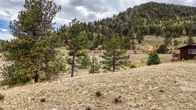 281 Nickel Plate Road Cripple Creek, CO 80813