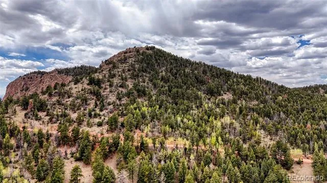 281 Nickel Plate Road Cripple Creek, CO 80813