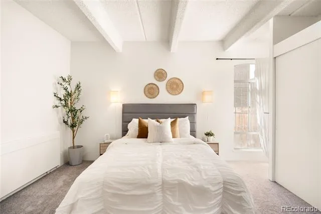1365 Columbine Street #103 Denver, CO 80206