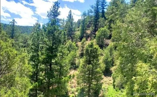 2222 Swift Claim Road Georgetown, CO 80444