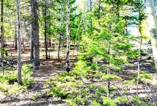 2222 Swift Claim Road Georgetown, CO 80444