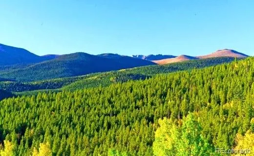2222 Swift Claim Road Georgetown, CO 80444
