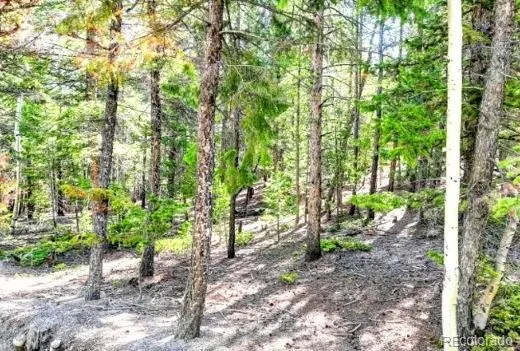 2222 Swift Claim Road Georgetown, CO 80444