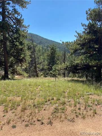 452 Wilson Drive Florissant, CO 80816