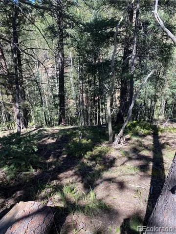 452 Wilson Drive Florissant, CO 80816