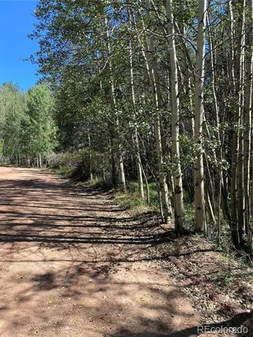 452 Wilson Drive Florissant, CO 80816