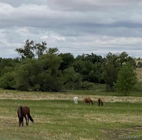 6484 Stroh Road Parker, CO 80134