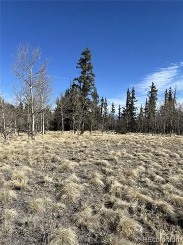 27 Warpath Road Como, CO 80432