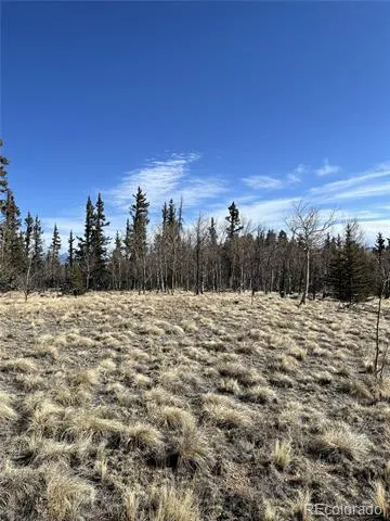 27 Warpath Road Como, CO 80432