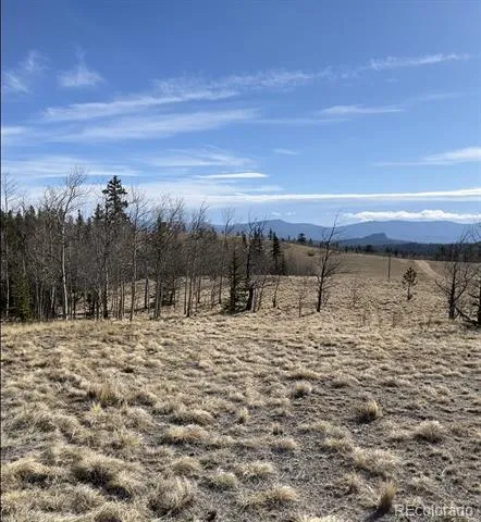 27 Warpath Road Como, CO 80432