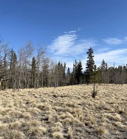 27 Warpath Road Como, CO 80432
