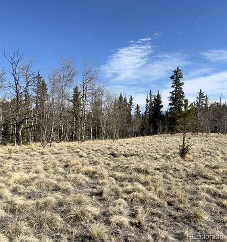 27 Warpath Road Como, CO 80432