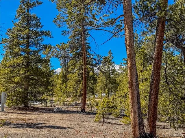 199 Cedar Drive Twin Lakes, CO 81251