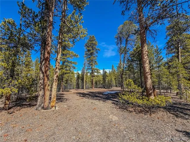 199 Cedar Drive Twin Lakes, CO 81251