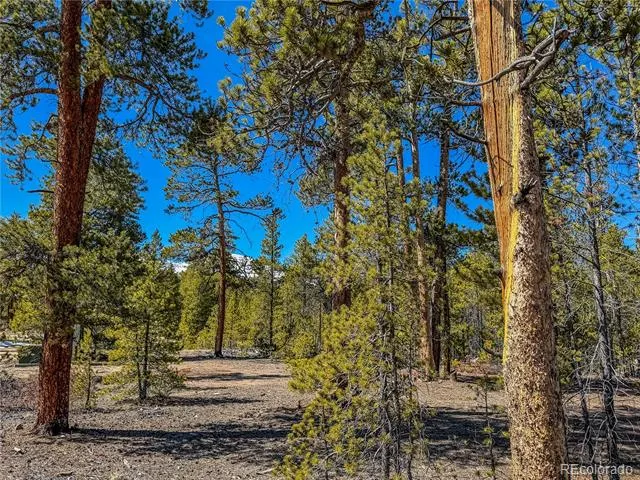 199 Cedar Drive Twin Lakes, CO 81251