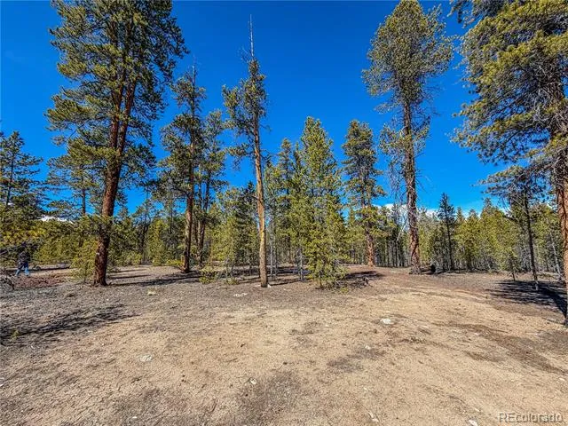 199 Cedar Drive Twin Lakes, CO 81251