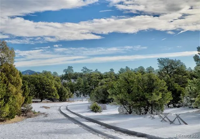 395 Fox Fire Trail Cotopaxi, CO 81223
