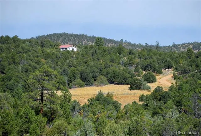 395 Fox Fire Trail Cotopaxi, CO 81223