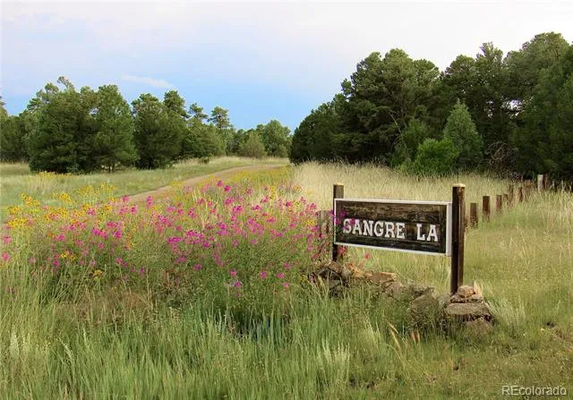 395 Fox Fire Trail Cotopaxi, CO 81223