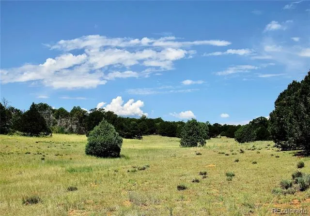 395 Fox Fire Trail Cotopaxi, CO 81223