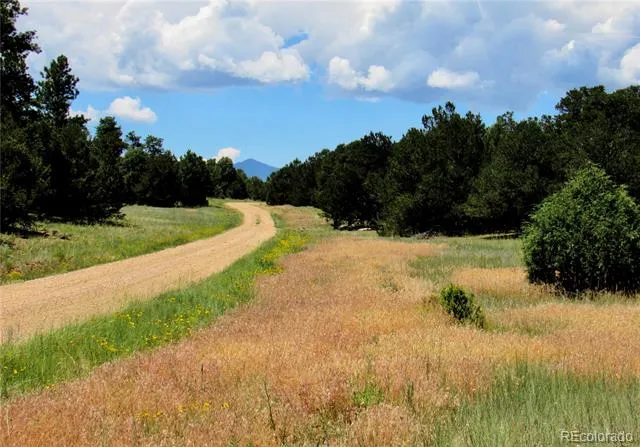 395 Fox Fire Trail Cotopaxi, CO 81223