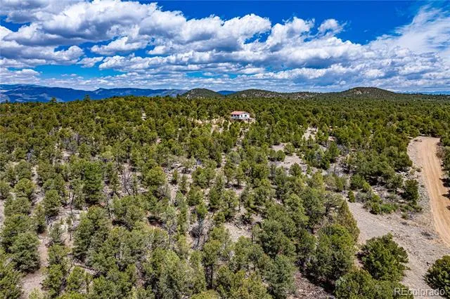 395 Fox Fire Trail Cotopaxi, CO 81223
