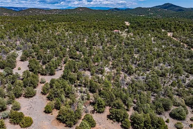 395 Fox Fire Trail Cotopaxi, CO 81223
