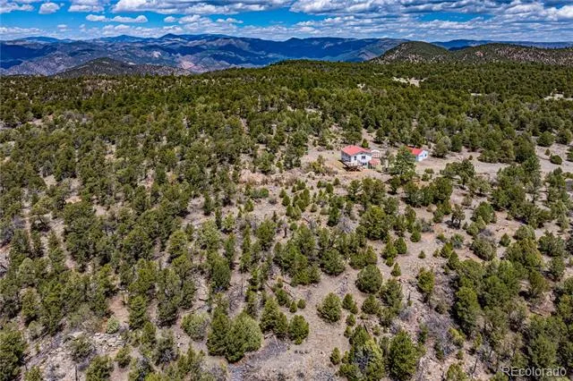395 Fox Fire Trail Cotopaxi, CO 81223