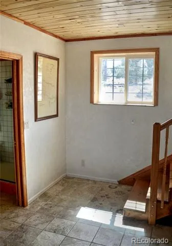 395 Fox Fire Trail Cotopaxi, CO 81223