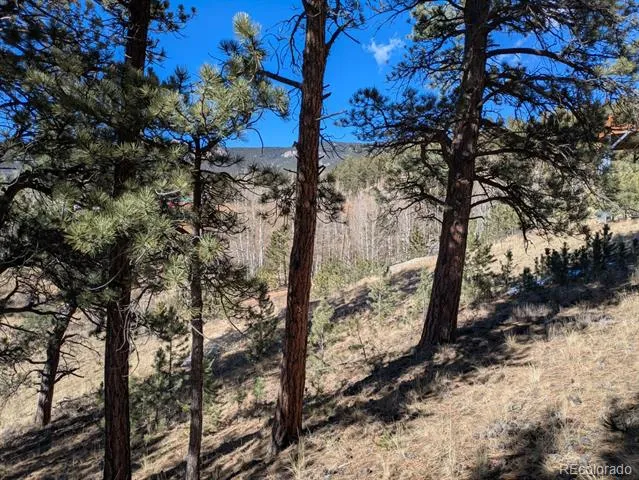 261 Appleby Street Bailey, CO 80421
