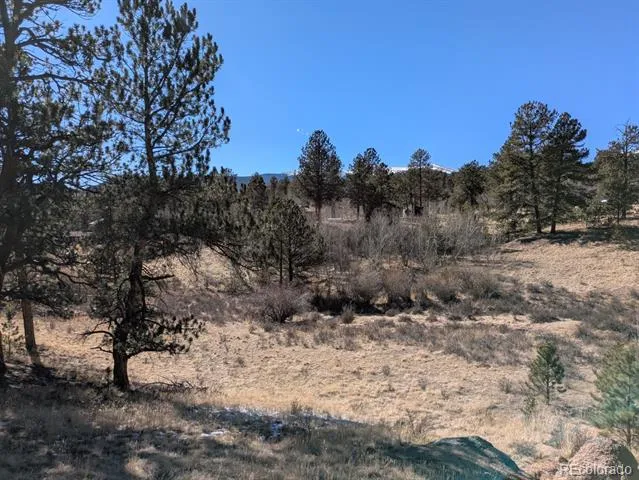 261 Appleby Street Bailey, CO 80421