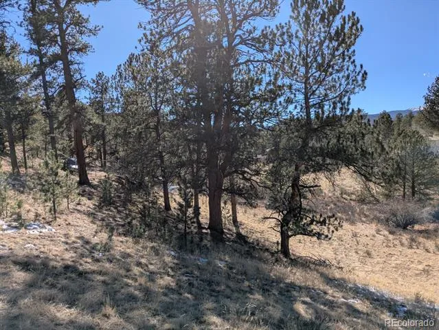 261 Appleby Street Bailey, CO 80421