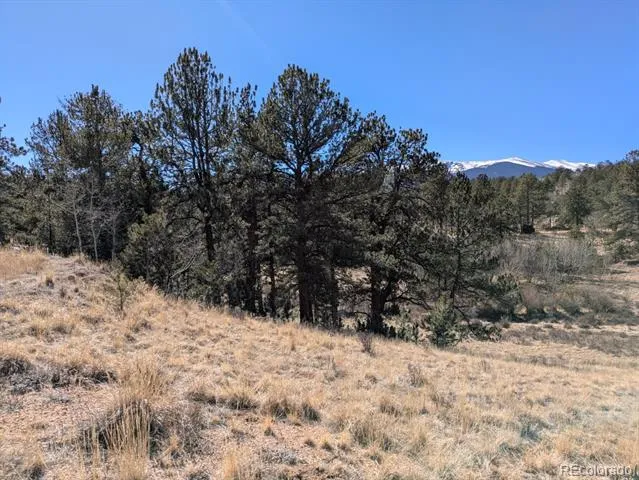 261 Appleby Street Bailey, CO 80421