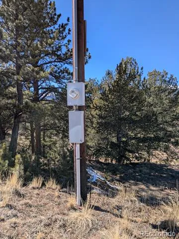 261 Appleby Street Bailey, CO 80421