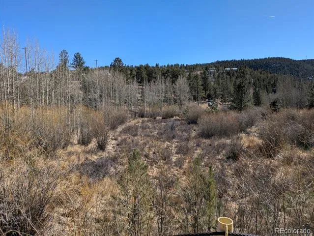 261 Appleby Street Bailey, CO 80421