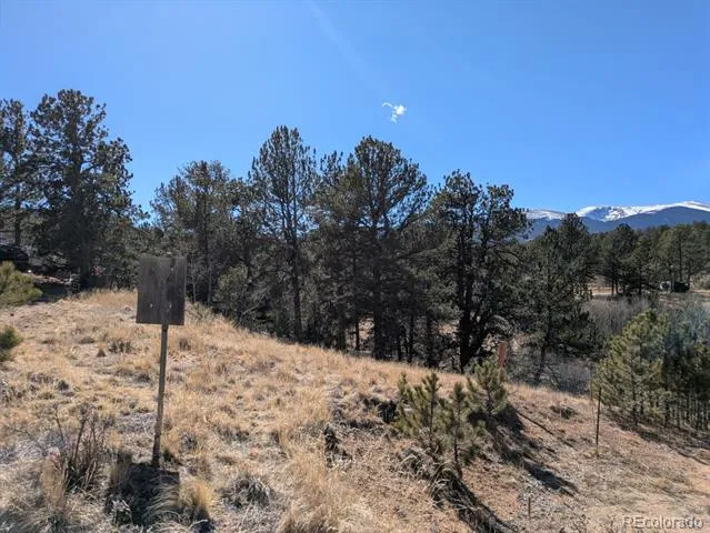 261 Appleby Street Bailey, CO 80421