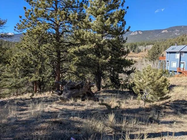 261 Appleby Street Bailey, CO 80421