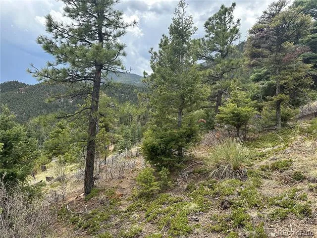 275 Upper Vista Road Manitou Springs, CO 80829