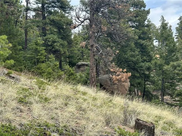 275 Upper Vista Road Manitou Springs, CO 80829
