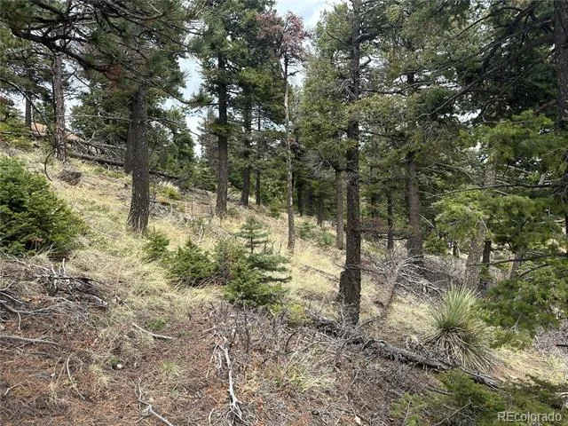 275 Upper Vista Road Manitou Springs, CO 80829