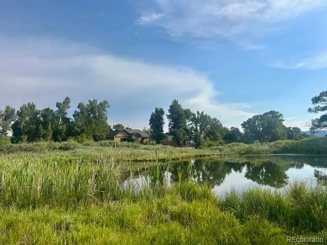 1105 Little River Lane Poncha Springs, CO 81242