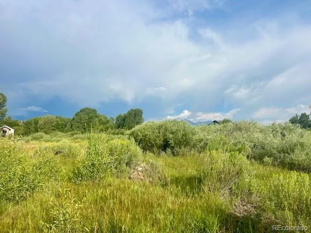 1105 Little River Lane Poncha Springs, CO 81242