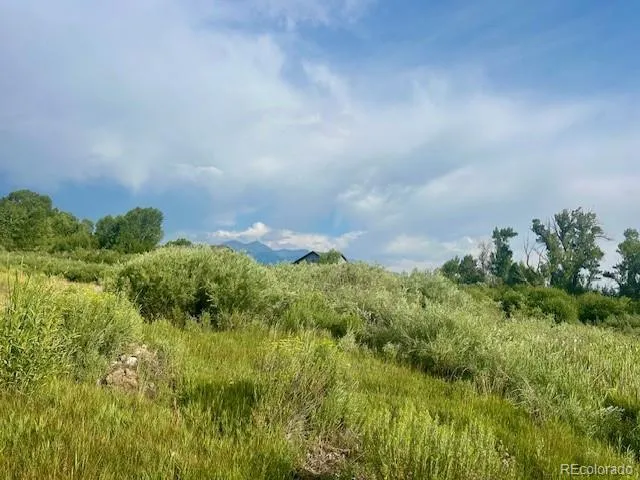 1105 Little River Lane Poncha Springs, CO 81242