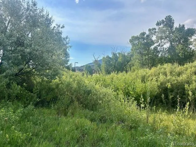 1105 Little River Lane Poncha Springs, CO 81242